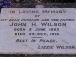 WILSON John H. 1885-1918