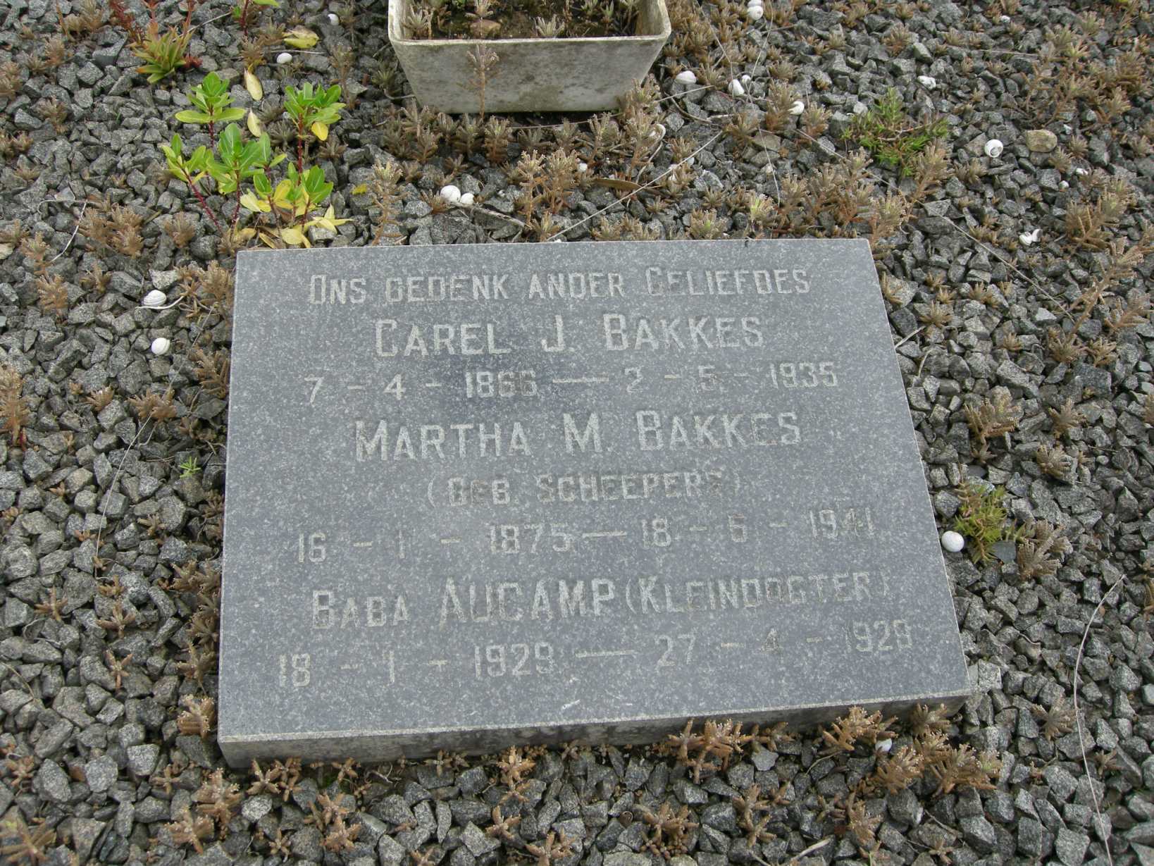BAKKES Carel J. 1866-1935 & Martha M. SCHEEPERS 1875-1941 :: AUCAMP Baba 1929-1929