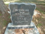 NELSON Piet 1937-1992