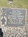 WILLEMSE Casparus Andries 1960-1960