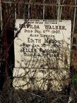 WALKER Mathilda -1907 :: WALKER Edith Maud -1902 :: WALKER Ellen Florence -1889