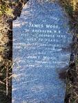 WOOD James -1893 & Janet -1901