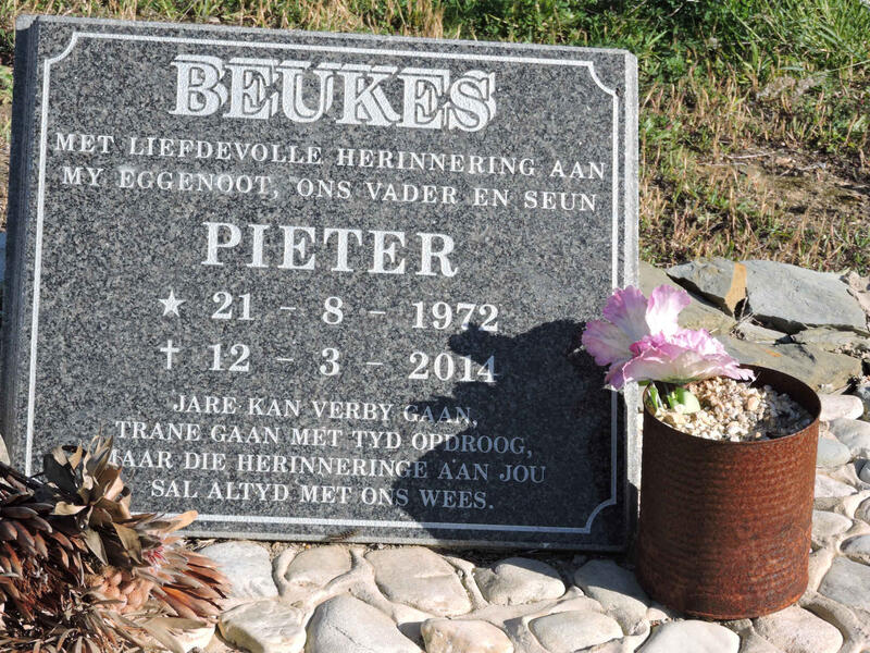 BEUKES Pieter 1972-2014