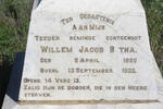BOTHA Willem Jacob 1880-1922