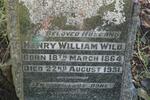 WILD Henry William 1864-1931