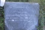 LAVIN Jessie Hayton Field 1867-1947