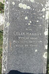 BLACKBEARD Luke 1850-1920 & Celia Harriet -1942