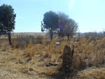 Mpumalanga, BALFOUR district, Weltevreden 449, farm cemetery