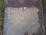 WILSON Wesley 1854-1918