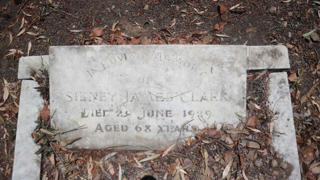 CLARK Sidney James -1929