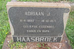 HAASBROEK Adriaan J. 1882-1971