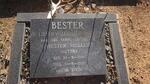 BESTER Hester Muller 1918-1998