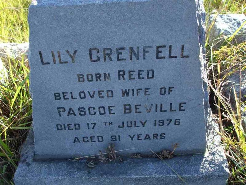 GRENFELL Lily nee REED -1976