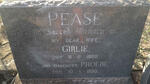 PEASE Girlie -1968 :: PEASE Phoebe -1950