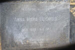 LILIENFELD Anna Maria 1860-1947