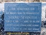 SEVENSTER Stienie 1901-1981