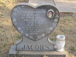 JACOBS Antonie J.H.L. 1957-1995