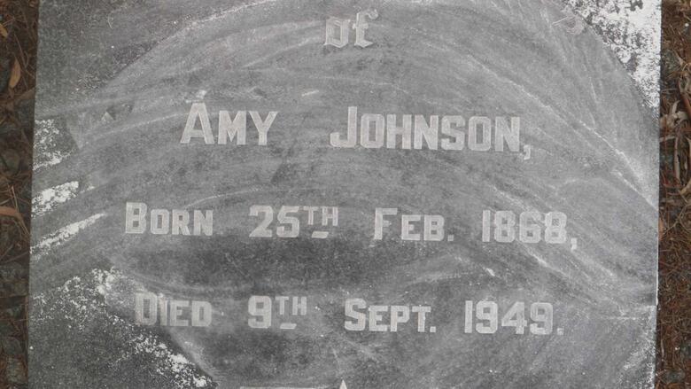 JOHNSON Amy 1868-1949