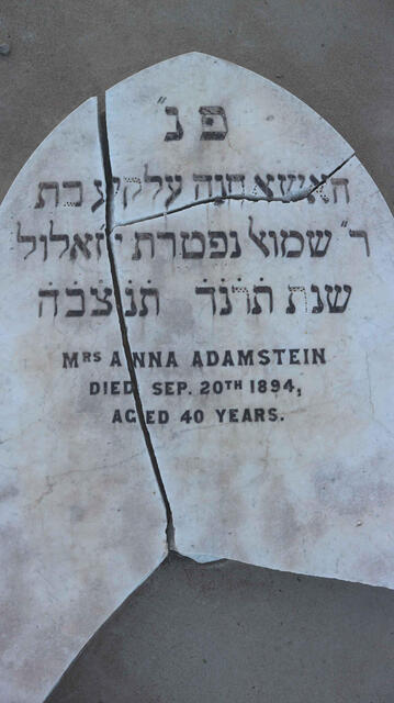 ADAMSTEIN Anna -1894