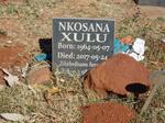 XULU Nkosana 1964-2017