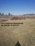 Free State, BOSHOF district, Hertzogville, Selborne 888, farm cemetery