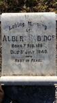 RUBIDGE Albert 1862-1949