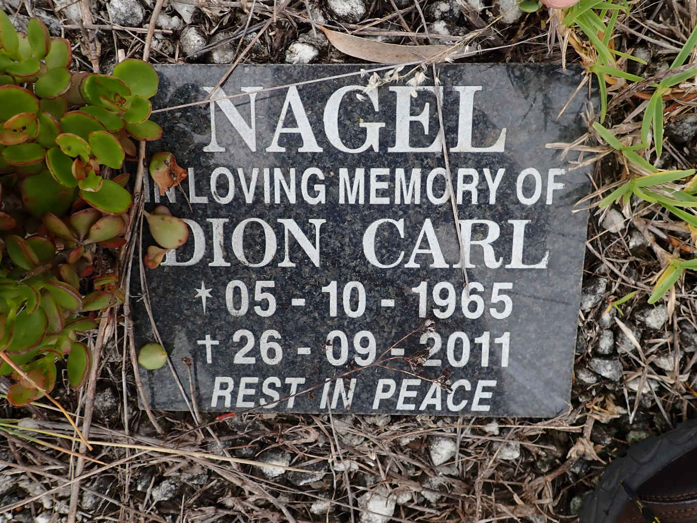 NAGEL Dion Carl 1965-2011