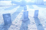 2. Military Graves