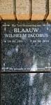 BLAAUW Wilhelm Jacobus 1931-2013