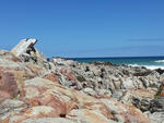 Western Cape, GANSBAAI, De Kelders, Beach rocks, Memorial plaque
