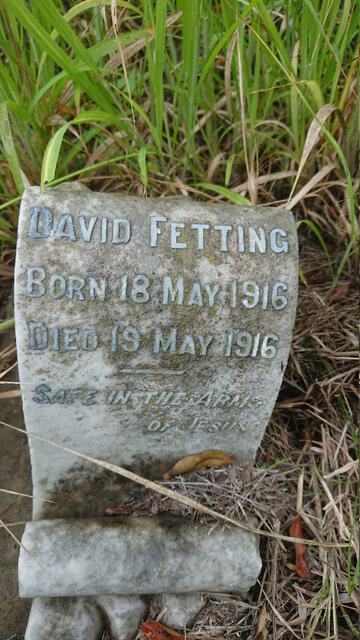 FETTING David 1916-1916