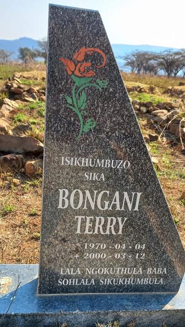 BONGANI Terry 1970-2000