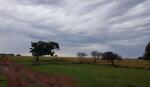 North West, POTCHEFSTROOM district, Rooipoort 354, farm cemetery