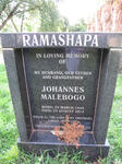 RAMASHAPA Johannes Malebogo 1949-2012