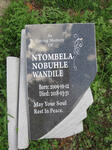 WANDILE Ntombela Nobuhle 2009-2018