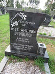 PINHAO Jose Antunes 1911-1976