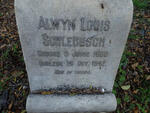 SCHLEBUSCH Alwyn Louis 1860-1942