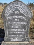 JOHNS Henry 1865-1954 & Marie Fredricka Bertha 1875-1942
