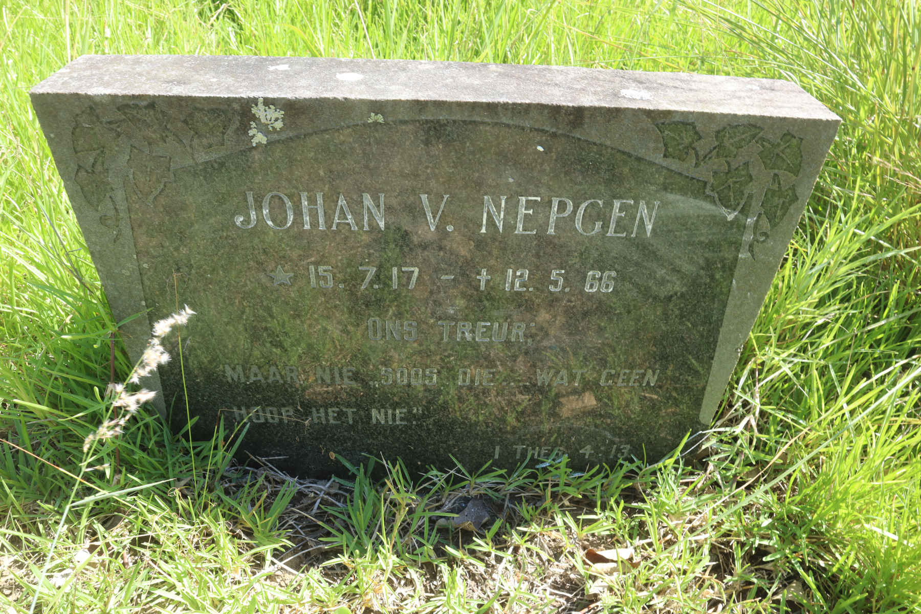 NEPGEN Johan V. 1917-1966