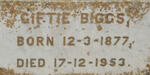 BIGGS Henry Grave -1913 :: BIGGS Jane Irene 1847-1951 :: BIGGS Giftie 1877-1953