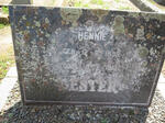 BESTER Hennie 1899-1913