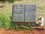 PLESSIS Pieter, du 1966-1988