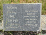HEWSON Joe -1963 :: HEWSON Henry Lancelot 1891-1969