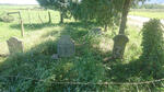 Western Cape, GEORGE district, Geelhoutboom 217, farm cemetery_1