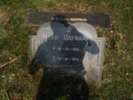 HAYWARD Marie 1936-1993