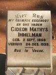 IMMELMAN Gideon Mathys 1868-1939