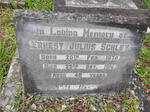 SCHLEY Ernest Julius 1870-1918