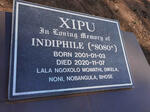 XIPU Indiphile 2001-2020