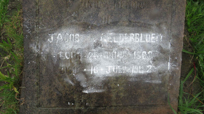 GELDERBLOEM  Jacob 18?? -1942