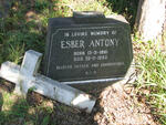 ANTONY Esber 1881-1962